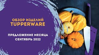 Обзор программы сентября от Tupperware