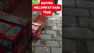 KUCING LOMPAT DARI TRUK #shorts #kucing #trending #trukoleng #cat