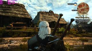 Witcher 3 100% maxed out 1080p 60 fps