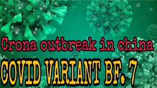 CRONA VIRUS BF. 7 VARIANT 2022/ CRONA UPDATE/ VLOG 44