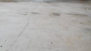 Doppler effect of raspcatbot passing smartphone camera with 3.24m/s (11.65km/h) in garage