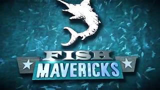 Fish Mavericks Teaser