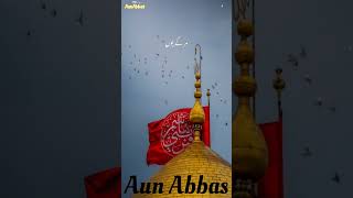 share Pani pi sakte the | پانی پی سکتے تھے | #aunabbas #shots #share