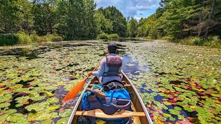 Relaxing Canoe Camping and Fishing in Canadian Backcountry