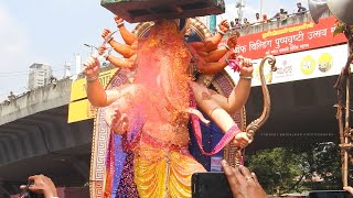 Parelcha Raja Narepark Visarjan Sohla 2018