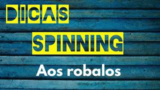 dicas spinning aos robalos