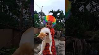 Funny joker 🃏😂#funny #shorts #ytshorts #trending #funnyvideo #comedy #shortvideo #joker #cute #cat