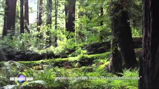 Sustainable Today 1309 Part 2  Cascadia Matters