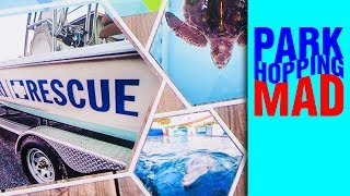 SEAWORLD INSIDE LOOK 2019 | SEAWORLD RESCUE CENTER | SeaWorld Orlando