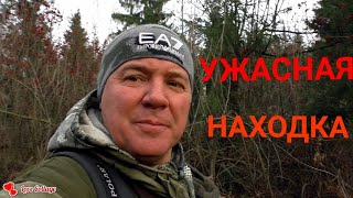 Испорченная прогулка