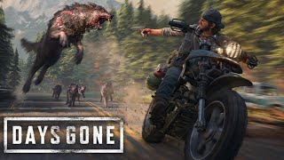 DAYS GONE | DAY 14 LIVE 🔴