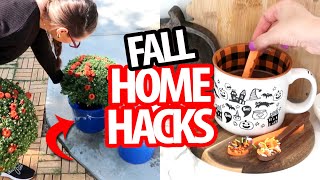 Brilliant HOME HACKS for fall!  $1 Dollar Tree DIYs 2024 + Thrift Flips