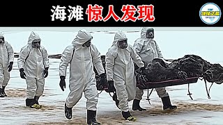 日本渔民捉到恐怖生物！不敢相信这是相机拍到的真实画面！20个海滩的惊人发现！精彩重制版！丨地球之最#冷知识 #排名 #世界之最#惊人画面#难以置信#世界之最top#出类拔萃#top10#海滩