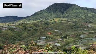 Menikmati Keindahan Perjalanan dari Lubuk Selasih ke Solok Radjo Air Dingin