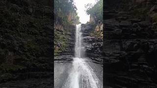 CHAULABHAJA WATERFALL❤ #shorts #viral #trending #music#sound #nature #mayurbhanj #waterfall #short