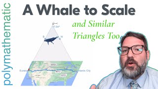 A Blue Whale to Scale (and Similar Triangles Too) [Math Minute #57] [GEOMETRY]