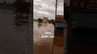 Punjab Flood News Live Video Photos Punjab Flood north india flood news