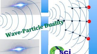 Wave-Particle Duality - The Million Dollar Debate