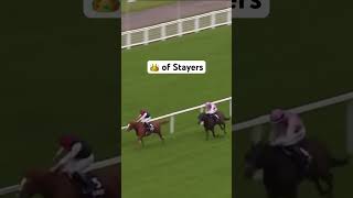 Kyprios gets a huge win on Ascot Champions Day #horse #youtubeshorts #horserace #racing #ascot #fyp