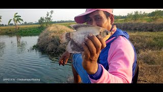 Mancing Di Spot Ikan Gurame