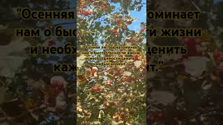 "Осенняя листва напоминает нам о быстротечности жизни и необходимости ценить ее."👍#осень #shorts