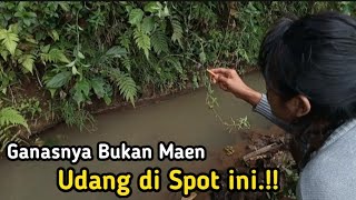 Mancing Udang di Spot Selokan.!! Ganasnya Bukan Maen #@AceSober-mk4bt #fishing