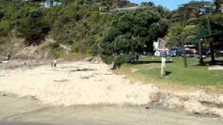 Nikau Tours Waiheke Island