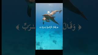 كرومات آيات قرآنية ☁️ القارئ جابر القيطان ☁️ ﴿أَصحابُ الجَنَّةِ يَومَئذٍ خيرٌ .. ﴾[الفرقان- ٢٤] 🥺🌱☁️