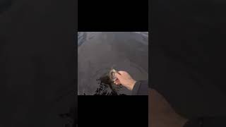 5lb smallmouth release