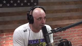 Joe Rogan talks Paulie Malignaggi vs Artem Lobov bareknuckle fight in Florida