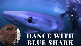 Dance with a blue shark