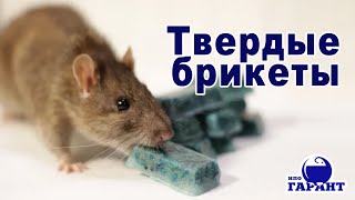 Готовая приманка для грызунов. Брикеты от крыс и мышей. Средство от грызунов для влажных помещений.