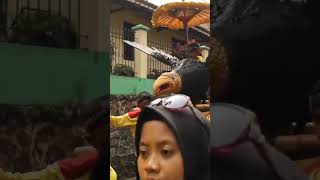 TEAM GOTONG MANUK SENI BENJANG MEKAR BUDAYA