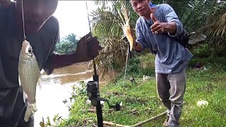 IKAN GURIH & UDANG YANG MEMBUAT JIWAKU TETAP TENANG walau mendung gelap mancing di sungai