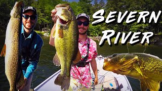 Multispecies Week on the Severn River (I HOOKED Myself!)