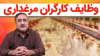 وظایف کارگران مرغداری