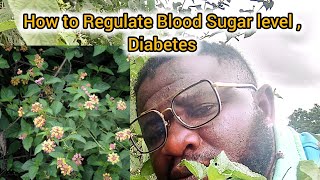 How to Regulate Blood Sugar level, Diabetes