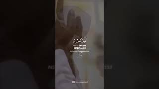 Tilawat e Quran Status | Whatsapp Islamic Status | Daily Whatsapp Status No.155