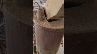 Wood Pellets (The Journey of Sawdust in Machinery)