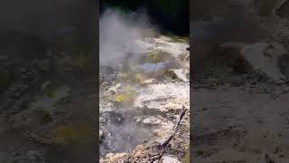 Super hot boiling water at volcanic valley New Zealand 🇳🇿 #shorts