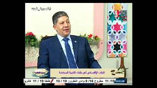 الدور المصري اتجاه القضية الفلسطينية