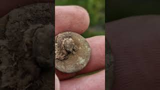 Buttons Make Me Cry! Metal Detecting Wales