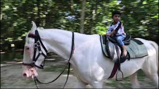 Arhus first horse riding video#adventurepark#kollam #trending #viralvideo #2yearsbabyvideo#ownvoice