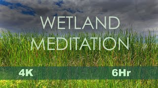 Wetland Meditation: CE5 music to relax, chill, sleep, meditate & study w/Water & Birds