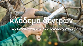 🍊 Κλάδεμα δέντρων: Πώς κλαδεύουμε τα καρποφόρα δέντρα - Τα Μυστικά του Κήπου