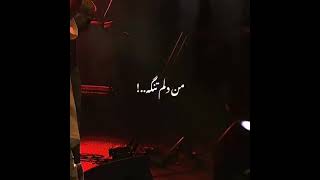 live in  man bahat gharam Amir Tataloo من باهات قهرم #tataloo #تتلو #shorts