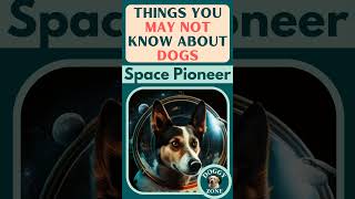 Space Pioneer | Things You May Not Know About Dogs | YouTube Short Video | Dog Breeds