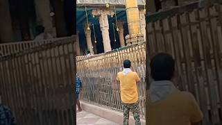 Tere daras ki man me ave | Rangnath mandir | Vrindavan #shorts #vrindavantemple