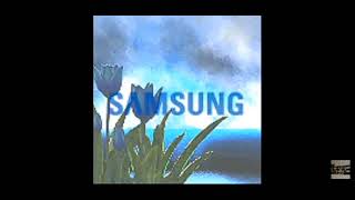 I accidentally samsung sgh C100