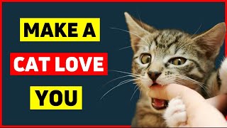 12 Proven Secrets to Make Your Cat Love You